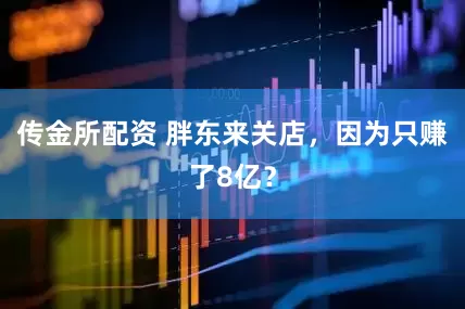 传金所配资 胖东来关店，因为只赚了8亿？