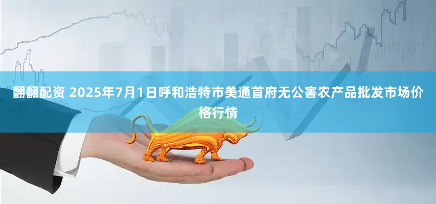 翻翻配资 2025年7月1日呼和浩特市美通首府无公害农产品批发市场价格行情