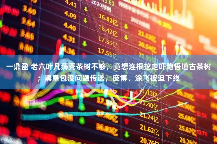 一鼎盈 老六叶凡薅秃茶树不够，竟想连根挖走吓跑悟道古茶树；黑皇包没问题传送，庞博、涂飞被迫下线