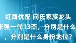 红海优配 向氏家族龙头去世，向华强一代13杰，分别是什么身份地位？